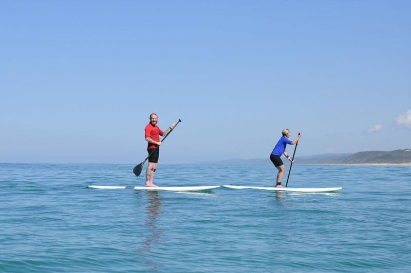Billet Visite de la faune en stand up paddle et excursion d'une journée sur la plage en 4x4 à Noosa