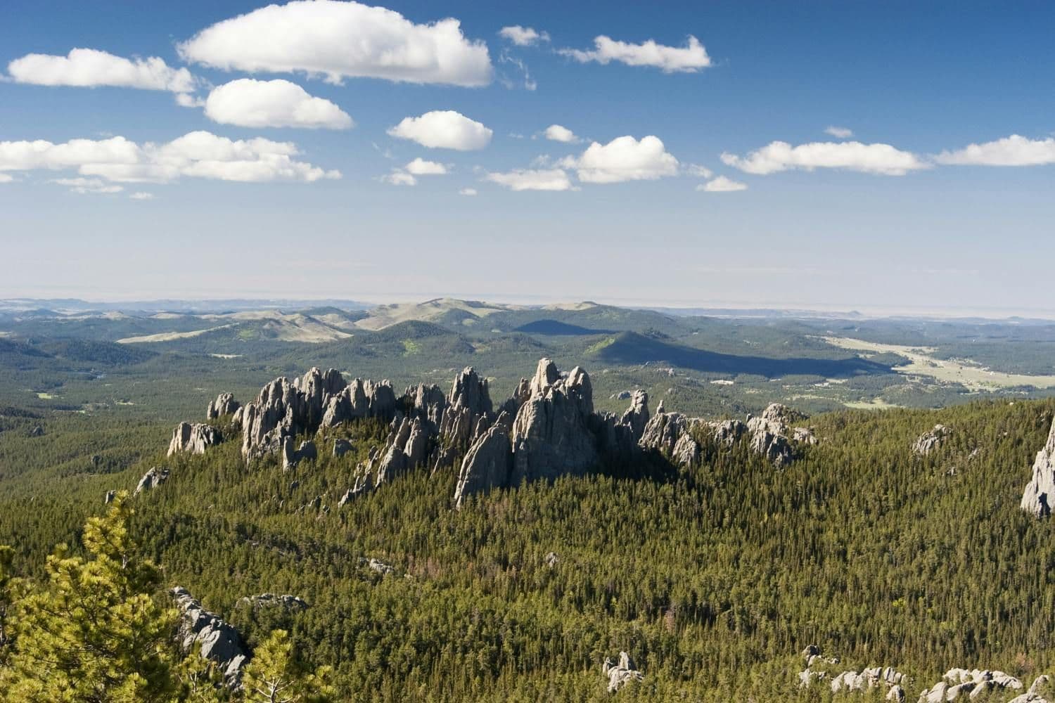 Billet Black Hills To Mount Rushmore Self-Guided Driving Tour