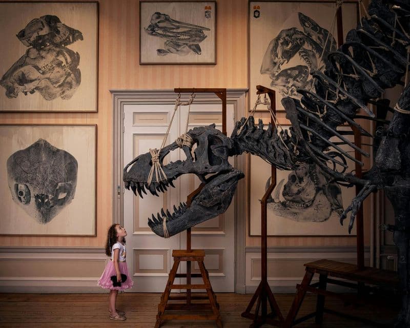 Billet Billet d'entrée au musée Art Zoo d'Amsterdam avec visite audio