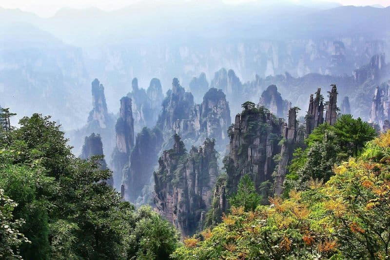 Billet Visite privée du parc national de Zhangjiajie avec Skywalk et téléphérique