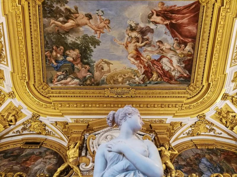 Billet Le palais Pitti et la galerie Palatine en petit groupe