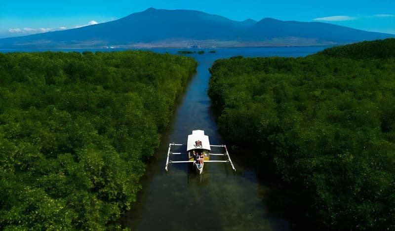 Four Gili islands guided boat tour