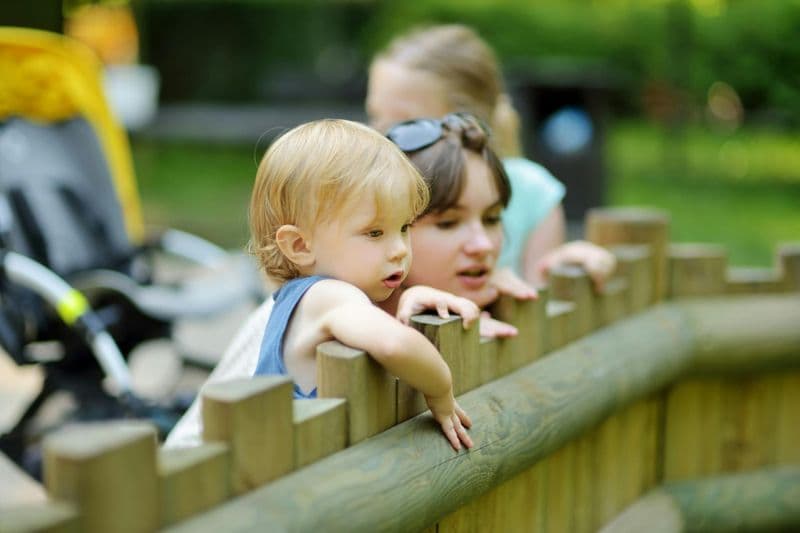 Visite mobile autoguidée du zoo de Varsovie