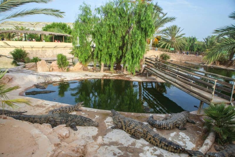 Billet Visite de l'île de Djerba avec la ferme aux crocodiles