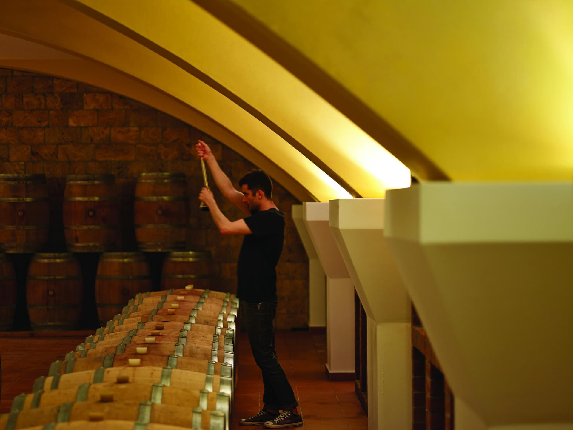 'Dégustation de vin Echo à Kos