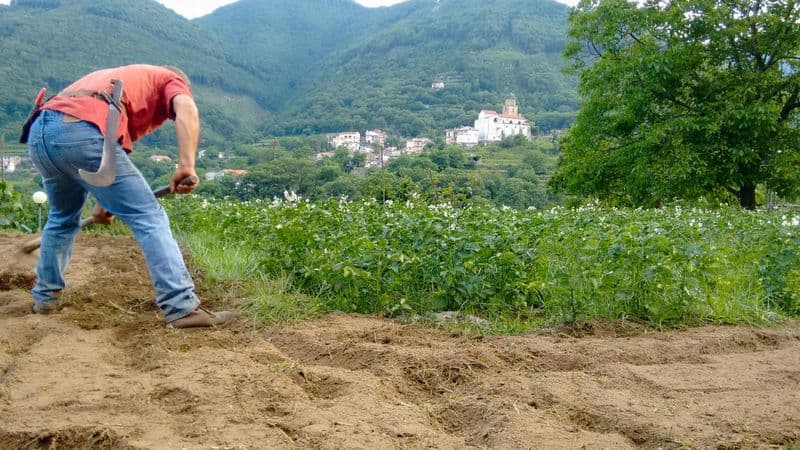 Billet Nat Geo Day Tour : Les saveurs de Tramonti et l'art de la préparation de pizzas