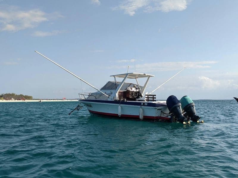 Billet Excursion d'une journée de pêche en haute mer à Zanzibar