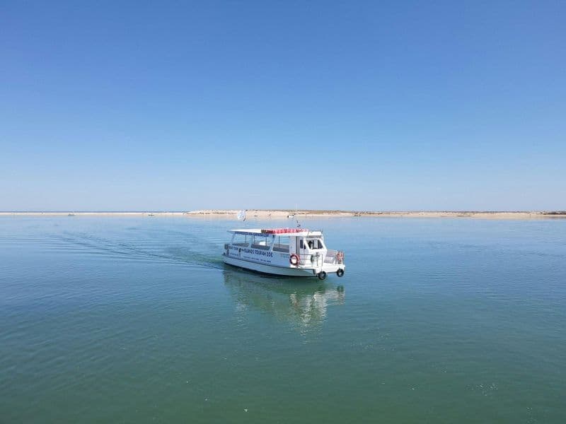 Billet Boat tour to Ria Formosa Natural Park from Olhão