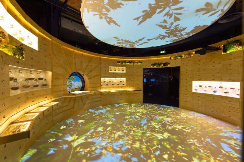 Billet Musée de l'anis et de la Provence avec expérience 4D en Mehari