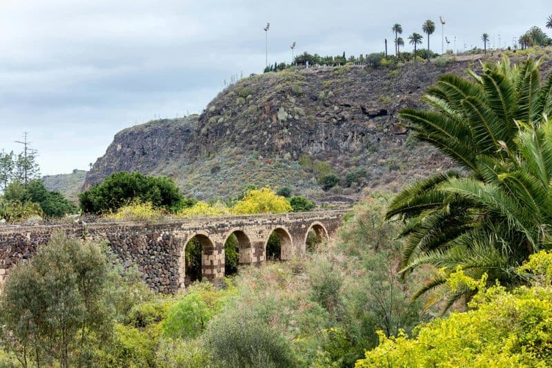 Billet Sites & Saveurs : Jardin botanique de Gran Canaria et fruits frais