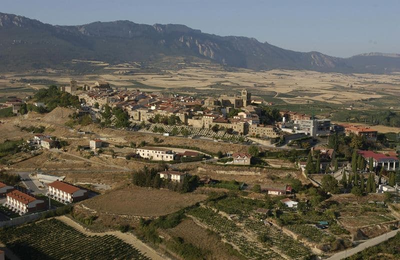 Billet Excursion d'une journée complète dans la région viticole de Vitoria et de la Rioja avec visite de vignobles au départ de Bilbao