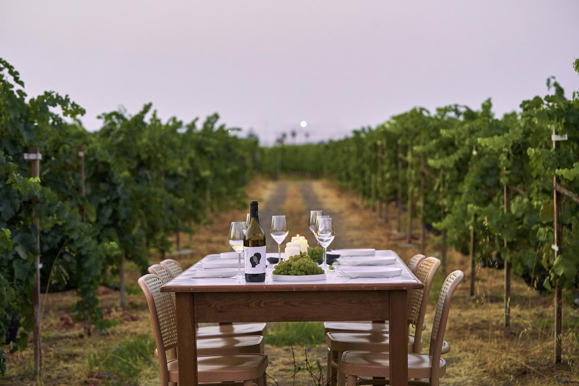 Dégustation de vin Karpima à Kos