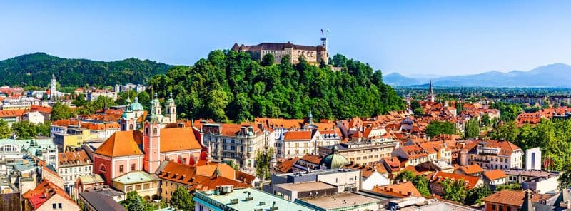 Billet Visite de la ville et du château de Ljubljana au départ de Bled