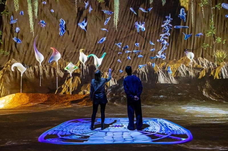 Billet Entrance ticket to the Nxt Digital Art Museum in Amsterdam