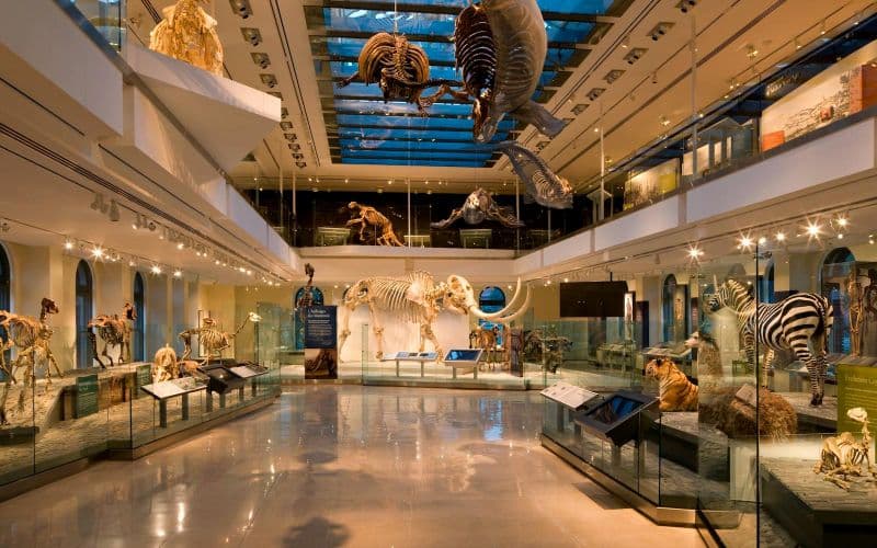 Billets pour le Musée d'histoire naturelle de Los Angeles