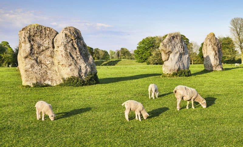 Billet Excursion d'une journée en petit groupe à Bath, Avebury et Lacock Village au départ de Londres