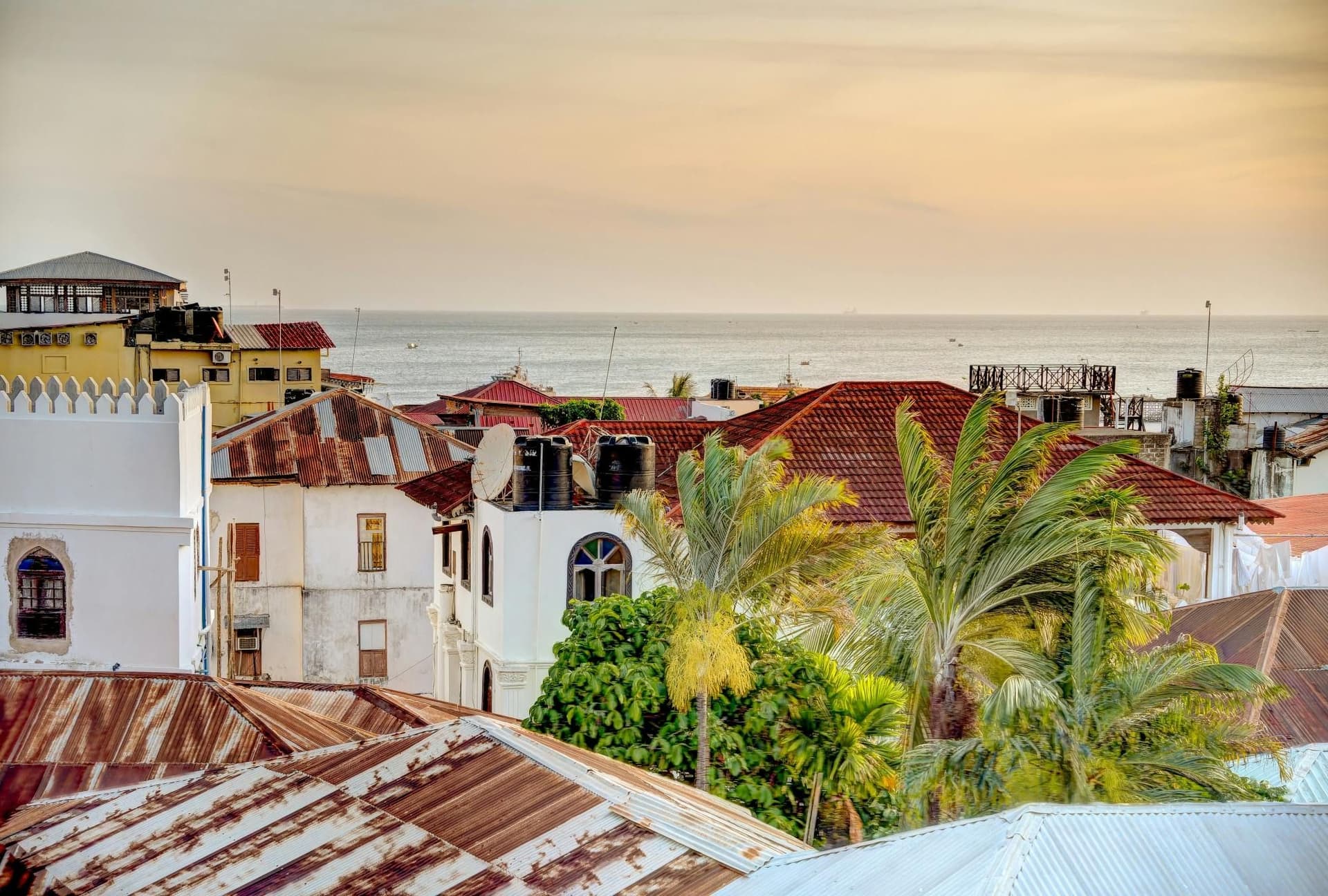 Billet Visite privée de Stone Town et du musée Freddy Mercury depuis le Mora Zanzibar