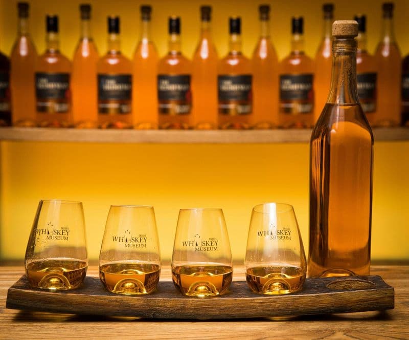 Billet Visite et dégustation premium d'une heure au musée du whisky irlandais