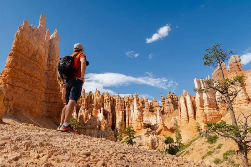 Billet Circuit de 2 jours au parc national de Zion et de Bryce avec hébergement