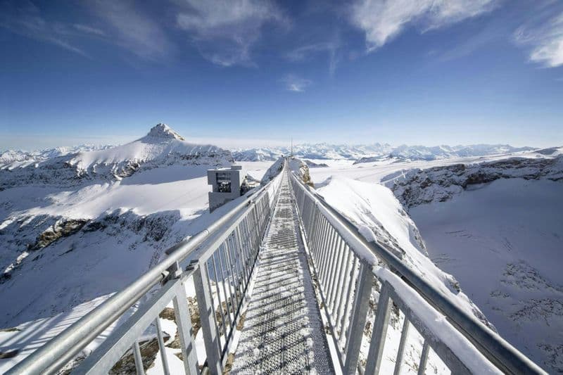 Billet Full-day tour to Glacier 3000 and Montreux from Geneva