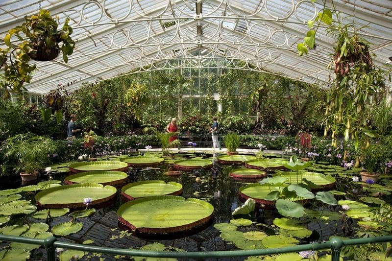 Billet Billets pour les jardins de Kew