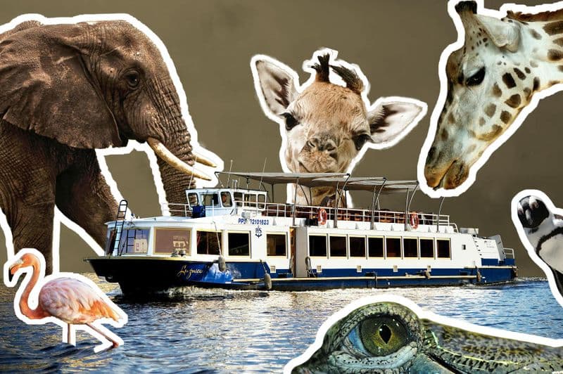 Billet Billet d'entrée au zoo de Prague avec le transfert en bateau de croisière