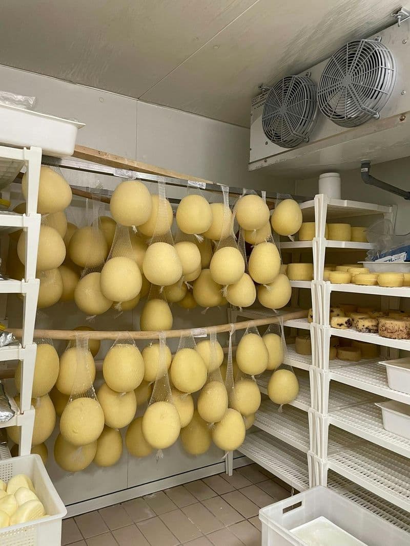 Billet Expérience semi-privée de fabrication et de dégustation de fromage