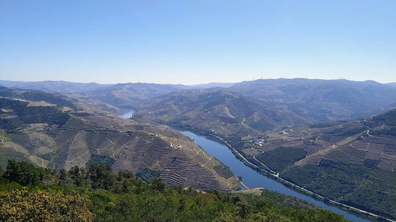 Billet Visite privée du Douro et du Vinho Verde au départ de Porto