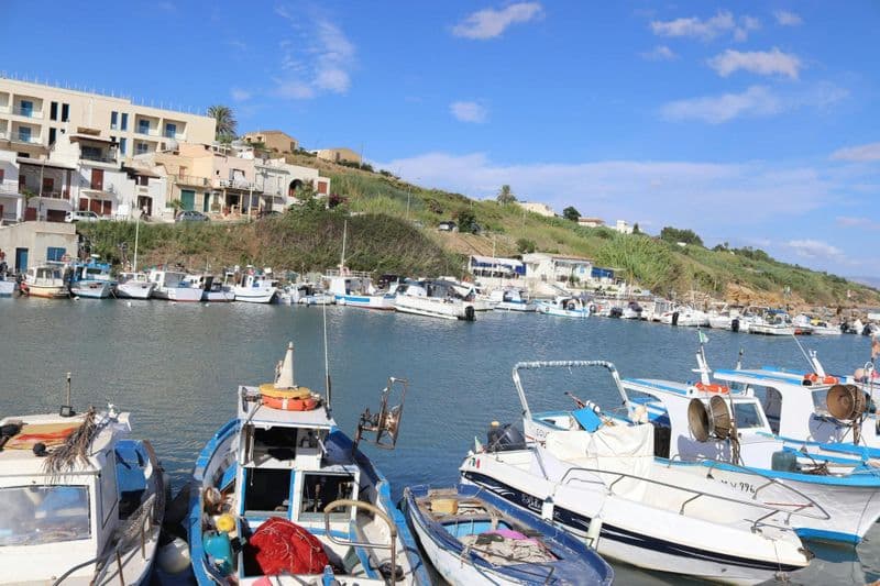 Boat tour of Selinunte with swim stop and optional lunch