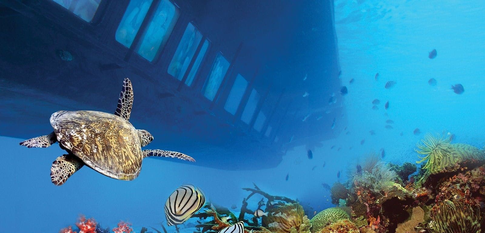 Hurghada mermaid glass-bottom boat tour