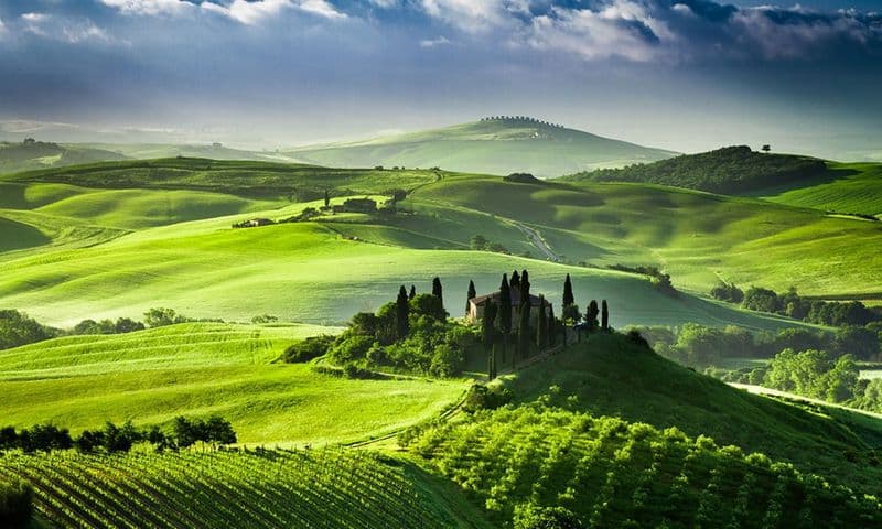 Billet Excursion gastronomique et vinicole à Pienza et Montepulciano