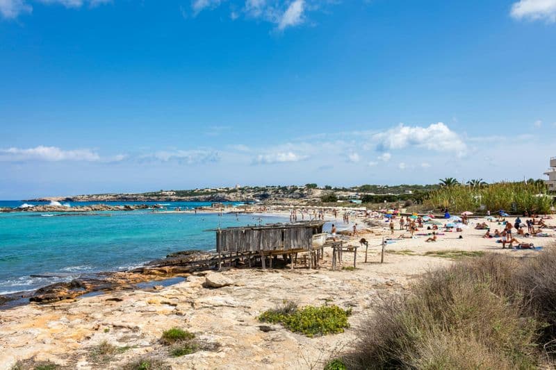 Billet Visite privée de Formentera avec repas le midi sur la plage