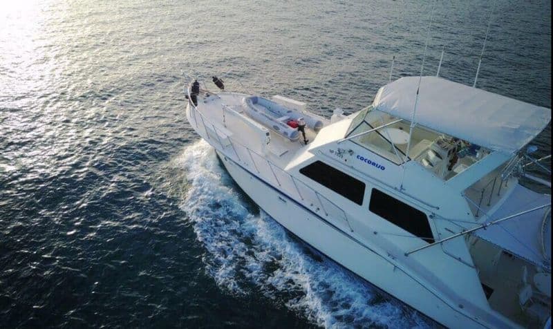 Hatteras Yachts 55 convertible (Motorboat)