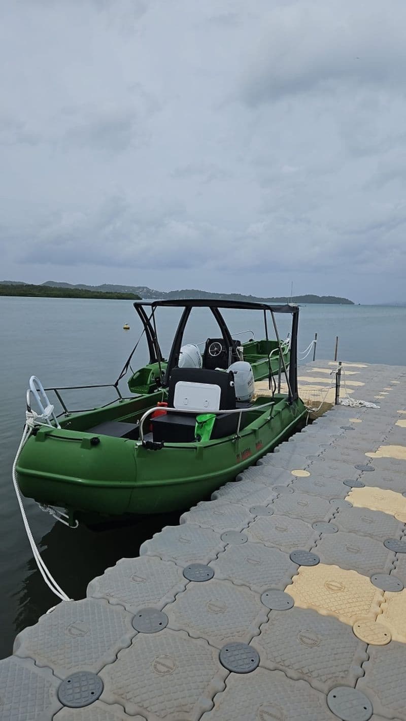 Whaly 500 (Motorboat)