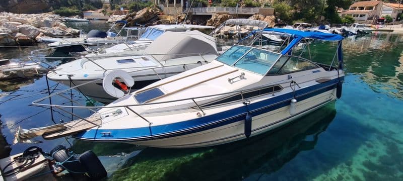 Billet Location de bateau - Sea Ray 250 Sundancer (Motorboat)