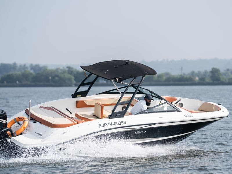Sea Ray SPX 210 (Motorboat)