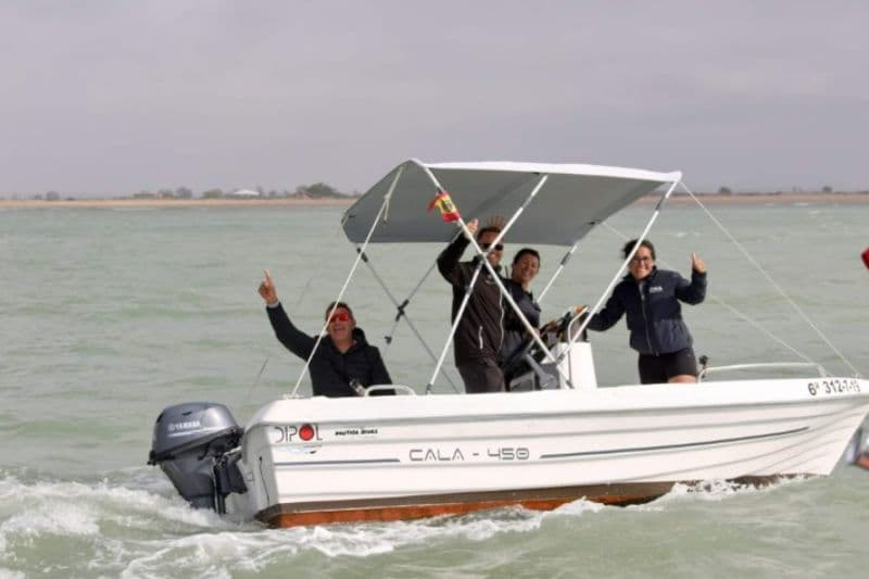 Dipol D-450 Cala Open (Motorboat)