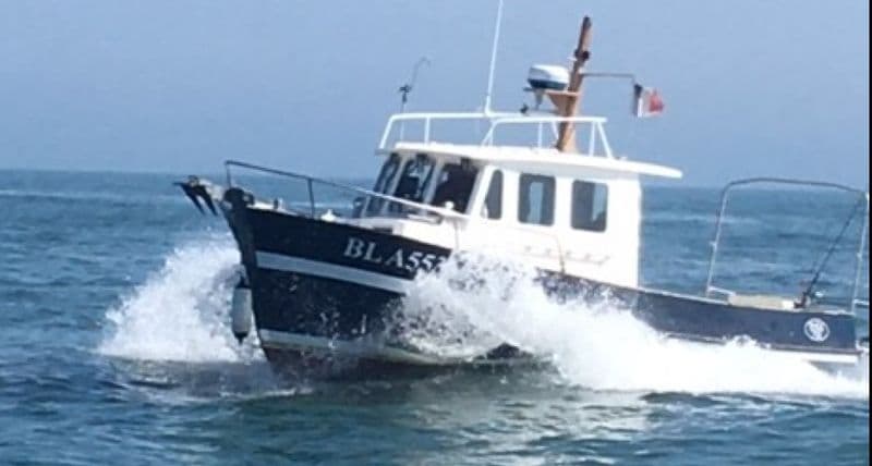 Rhea 750 Timonier (Motorboat)