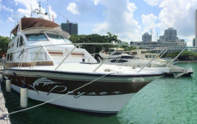 Viking Yachts 57