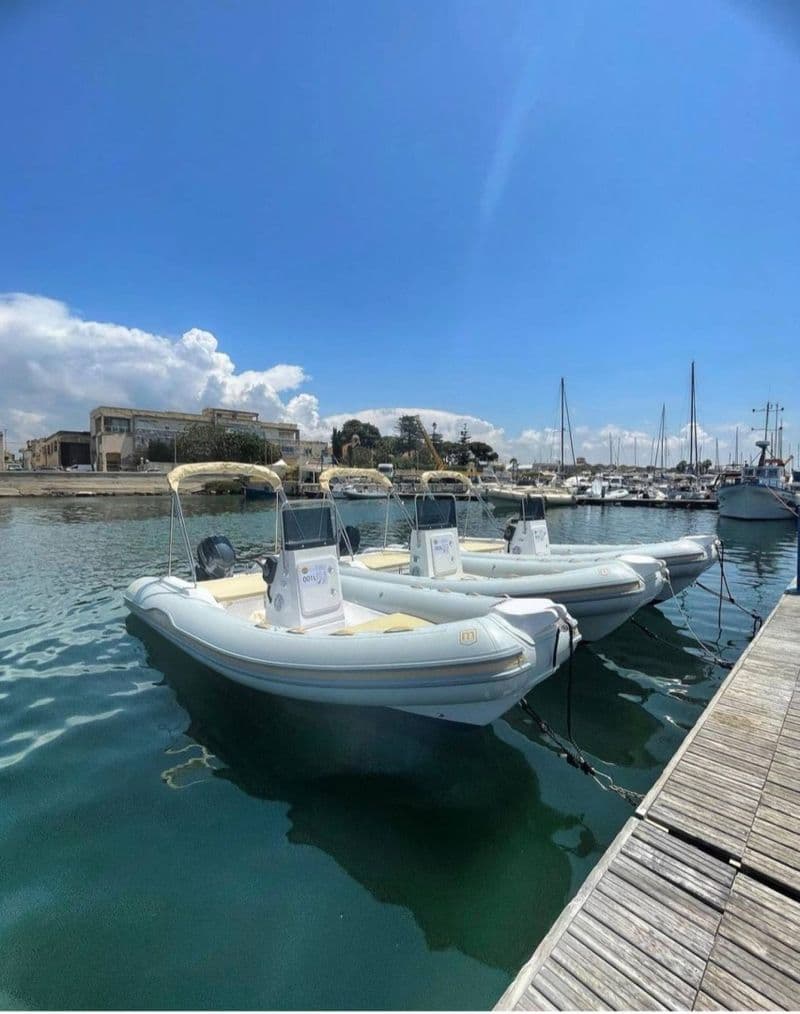 Marel AL100 (Semi-rigid)