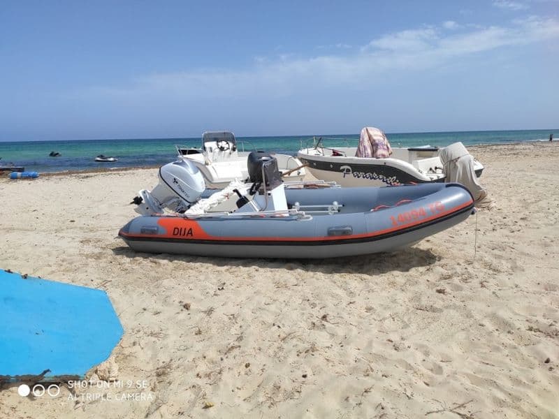 hippocampe focchi 460 (Semi-rigid)