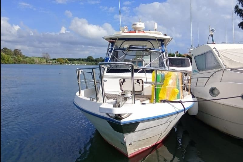 Albemarle 280 Express (Motorboat)