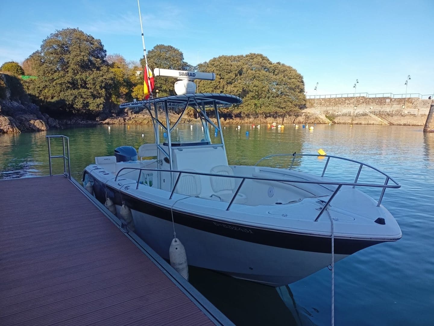 SEAFOX 256CC (Motorboat)