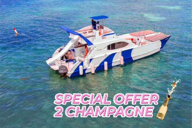 Billet Location de bateau - Yamaha Schiffendecker (Motorboat)