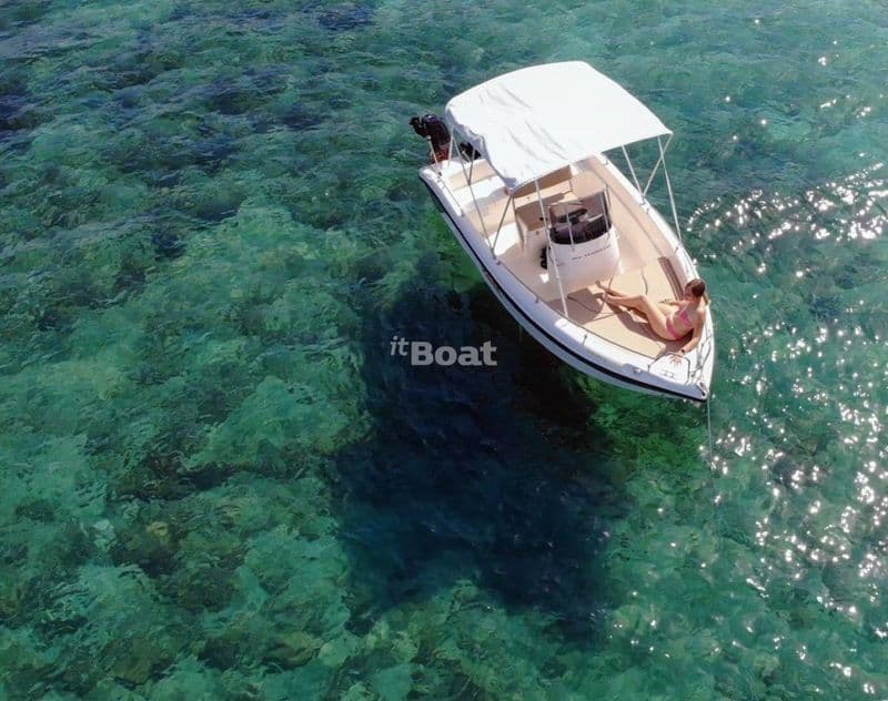 Poseidon Blue Water 170 (Motorboat)