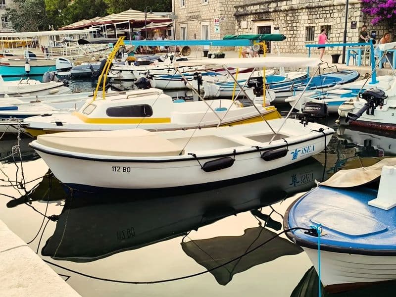 Billet Location de bateau - Pasara (Motorboat)