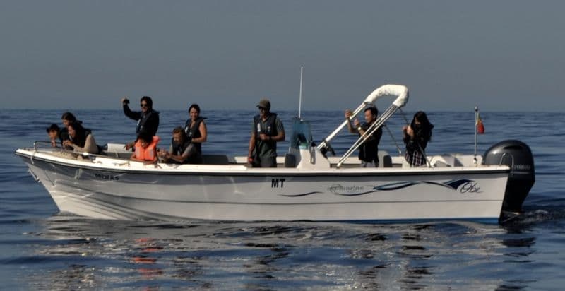 Billet Location de bateau - Obe 8m (Motorboat)