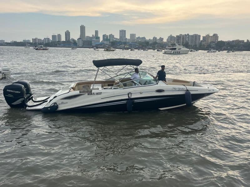 Sea Ray SDX 290 (Motorboat)