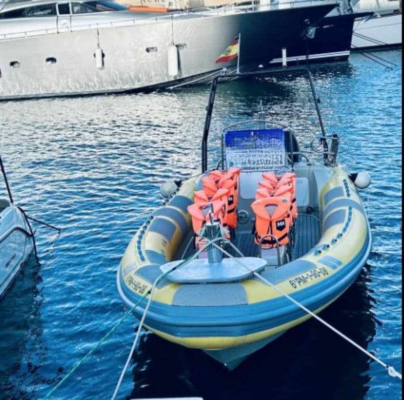 Billet Location de bateau - Searib's Sea Ribs 8,60 PRO (Semi-rigid)