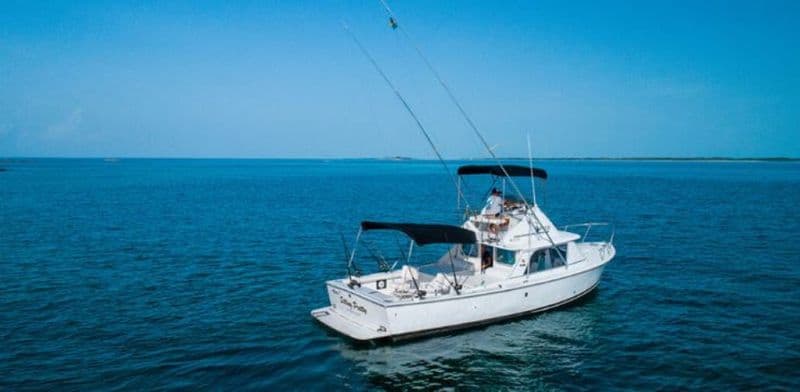 Bertram 31 foot (Motorboat)